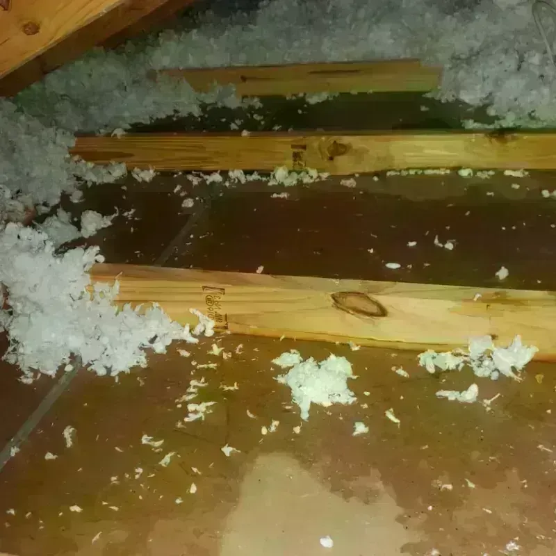 Best Attic Water Damage Service in Northlake, SC