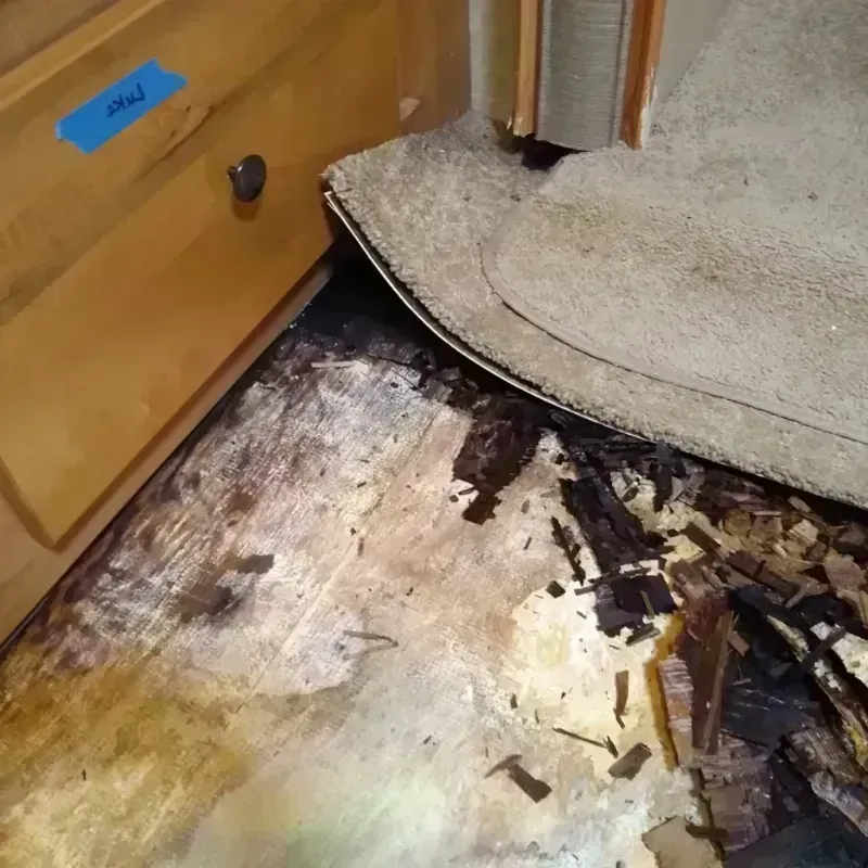 Wood Floor Water Damage in Northlake, SC